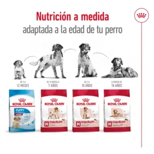 Royal Canin Medium Adult 7+