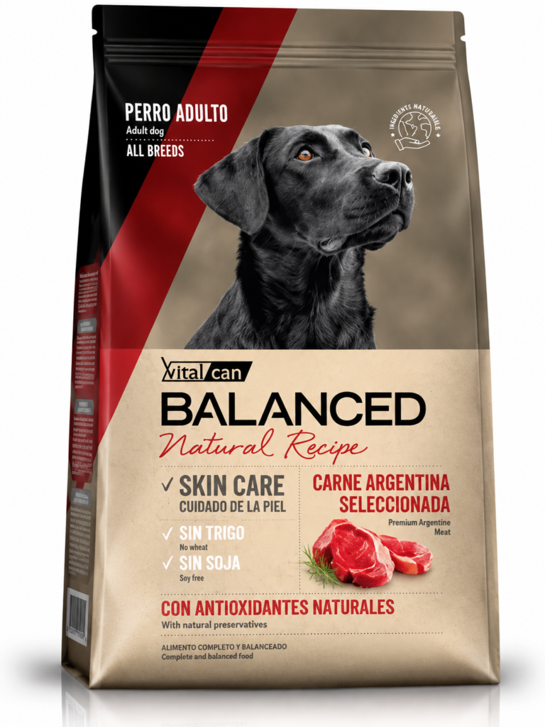 Vitalcan Natural Recipe Carne argentina