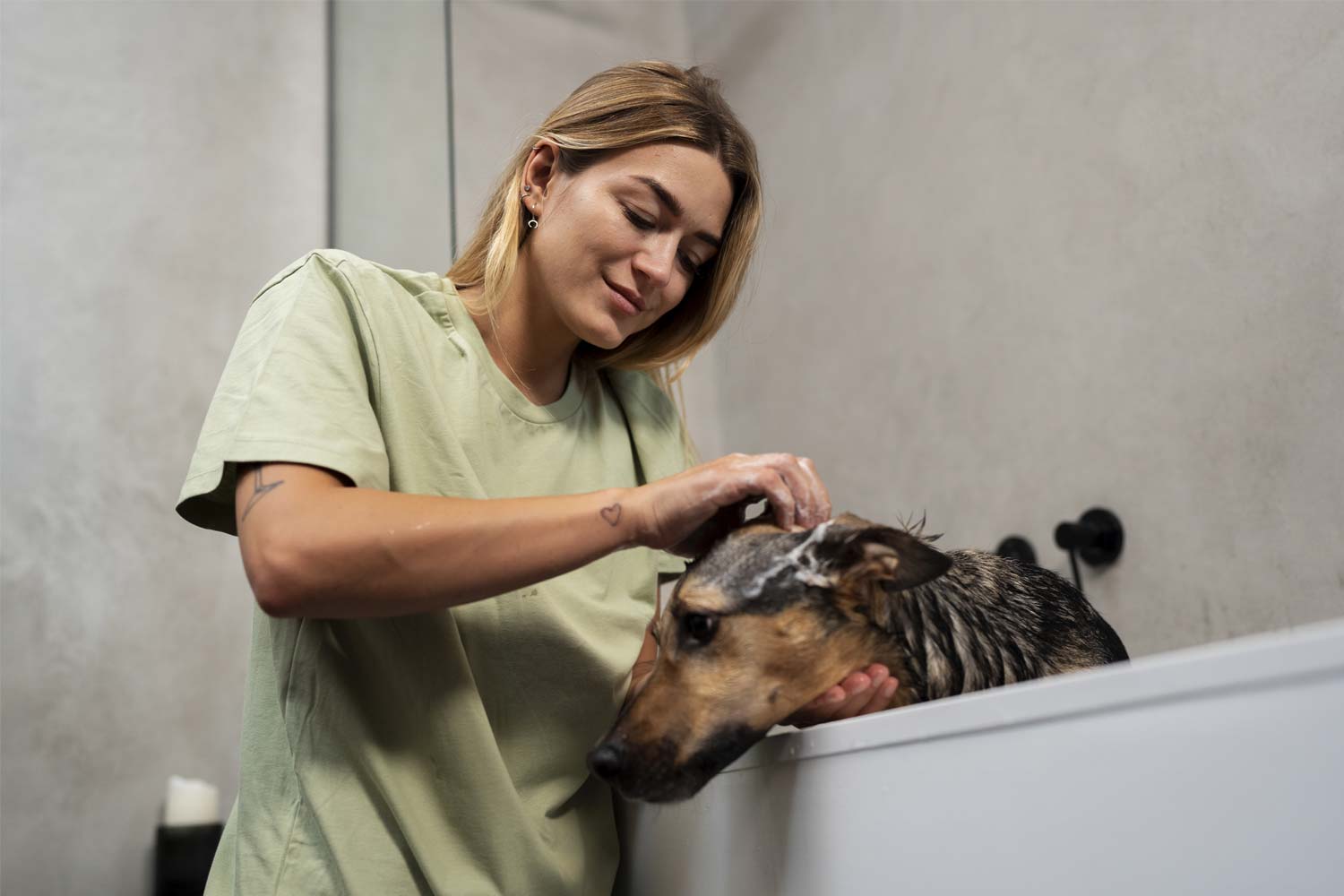 ¿Cada cuánto hay que bañar a un perro?