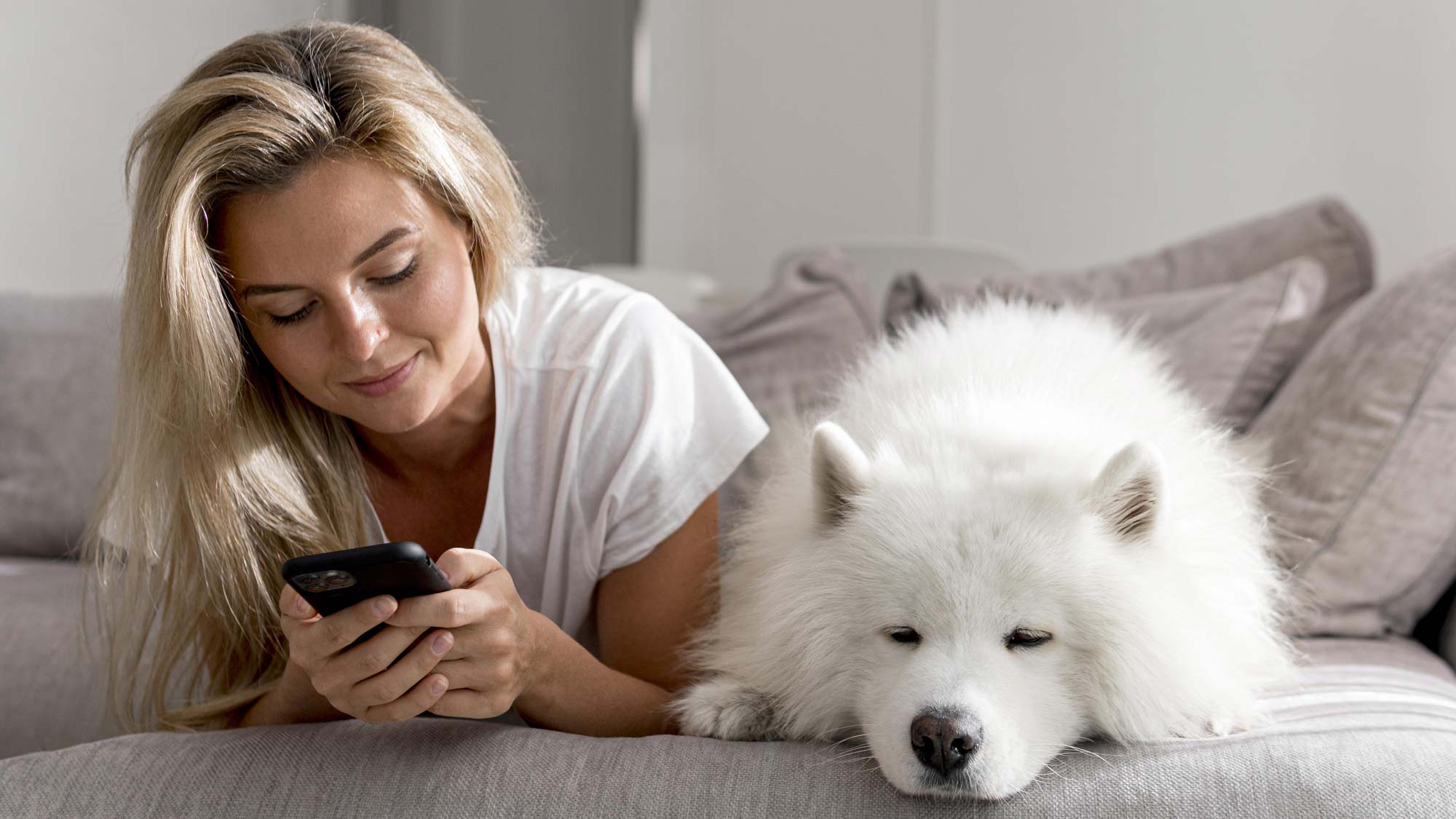 Como reducir el estres en perros perro relajado junto a su dueno en casa