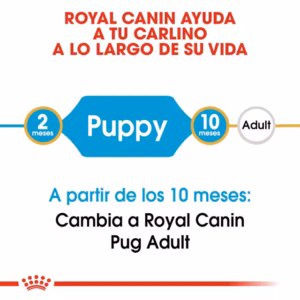 Royal Canin Pug Puppy