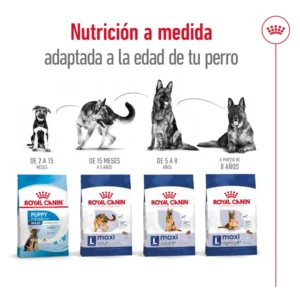 Royal Canin Maxi Adult 5+