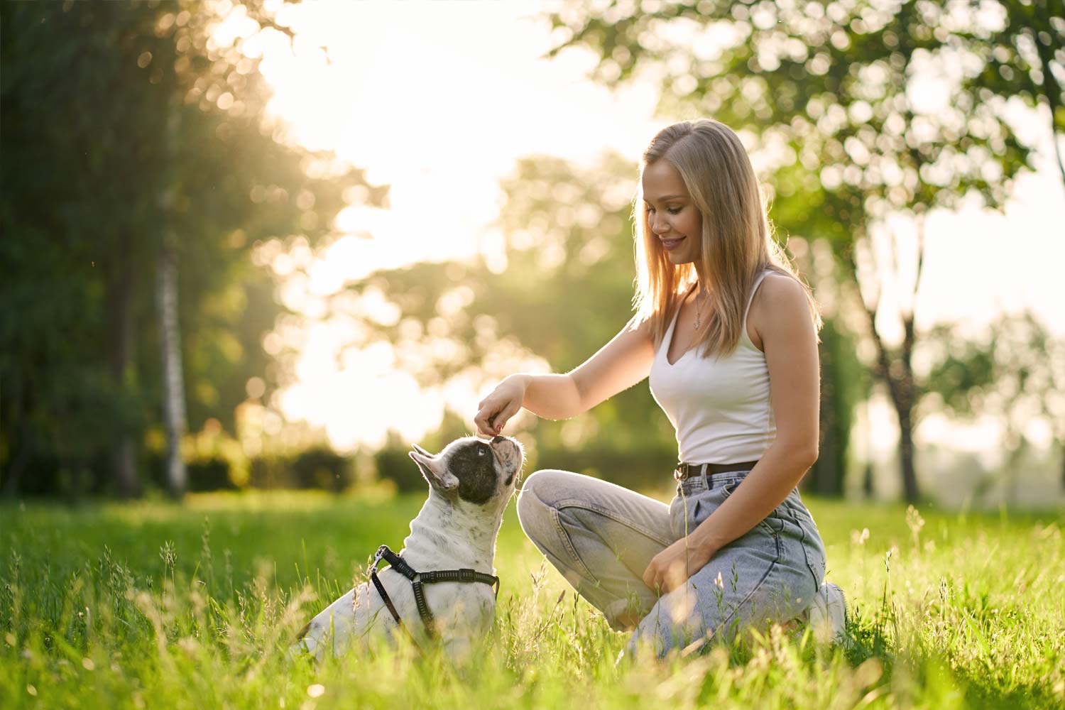 10 pequeños gestos que hacen feliz a tu mascota
