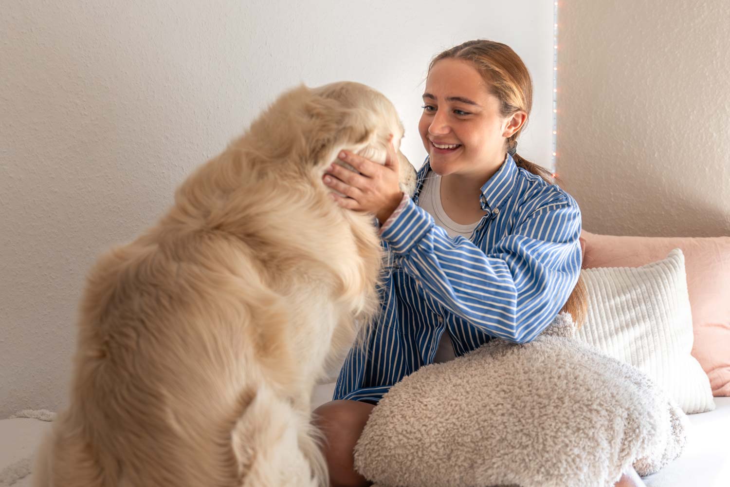 Golden Retriever: 10 datos interesantes que quizás no sabías
