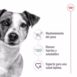 Royal Canin Mini Adult