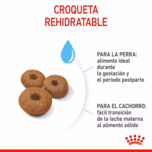 Royal Canin Maxi Starter Mother & Babydog