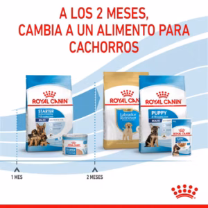 Royal Canin Maxi Starter Mother & Babydog