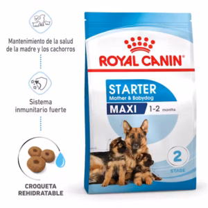 Royal Canin Maxi Starter Mother & Babydog