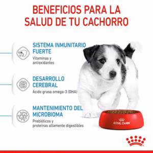 Royal Canin Mini Puppy