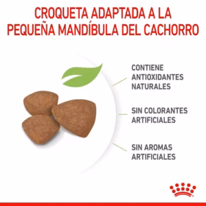 Royal Canin Mini Puppy