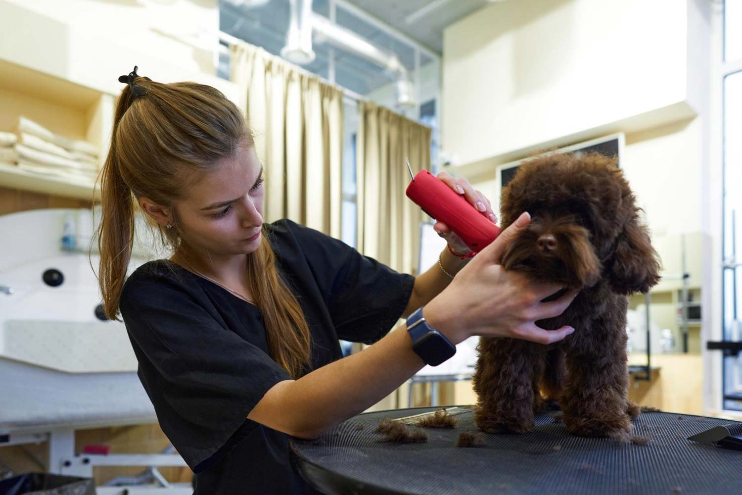 Ventajas del spa móvil para perros
