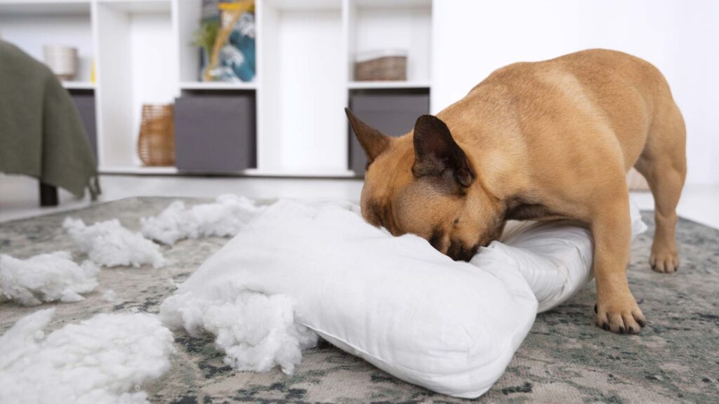 Senales de estres en perros comportamiento destructivo ansiedad separacion