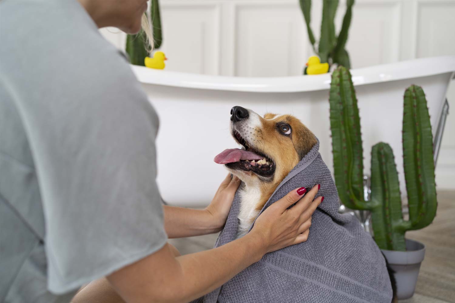 7 señales que tu perro está estresado